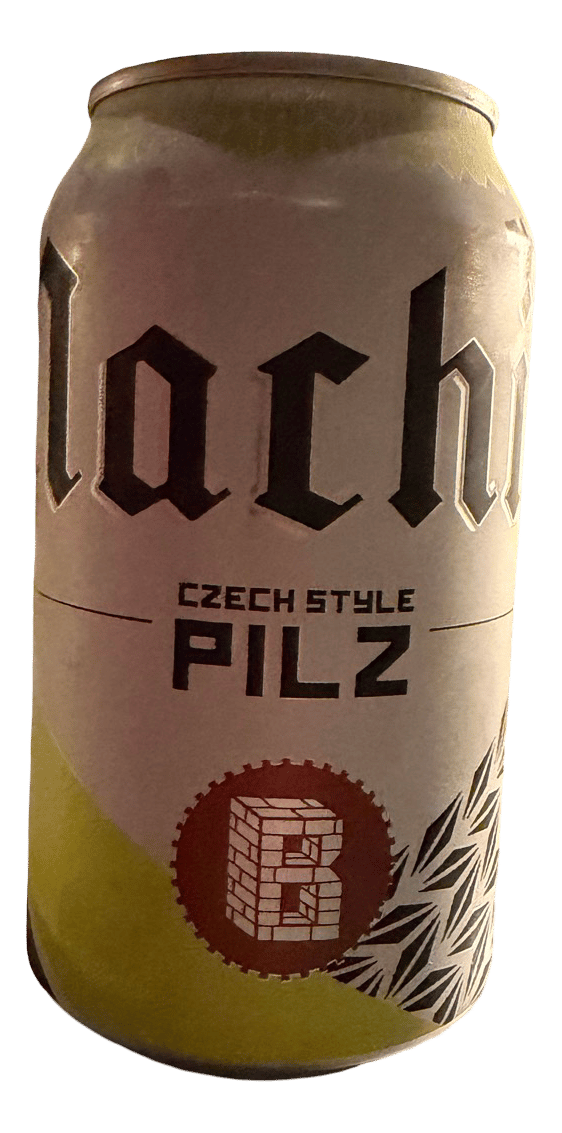 Machine Pilz